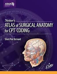 Netter S Atlas Of Surgical Anatomy For Cpt Coding Coding Atlas Anatomy Cpt Codes