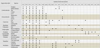 How many chromosomes are in a human? Applying Cytogenetics In Phylogenetic Studies Intechopen
