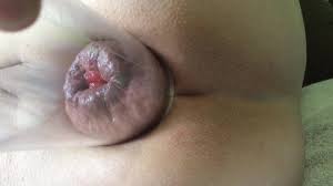 asshole pump with penis pump