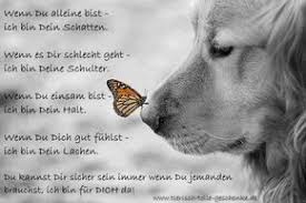 13f84c055d0 665 443 Spruche Tiere Spruche Tierliebe Zitate Tiere