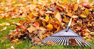 Fat balls are a great way of doing this. 11 Garden Tasks To Prep For Winter Gardener S Path