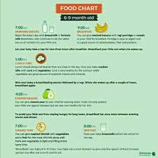 What Should Be The Diet Of 8 Month Baby As I Give 2 3 Times
