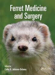 Ferret Medicine And Surgery