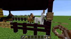 Cómo domesticar un caballo, loro, zorro, llama y otros animales en minecraft al día de hoy minecraft sigue siendo uno de los videojuegos más descargados alrededor del mundo. Minecraft Como Domar Y Montar Caballos 100 Explicado Youtube