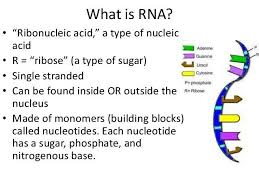 Pin On Module 2 Quiz 2