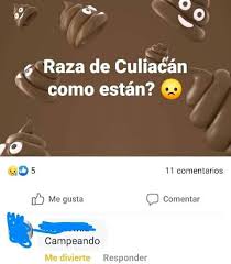 No thanks, take me back to the meme zone! Cosas De Free Fire Home Facebook