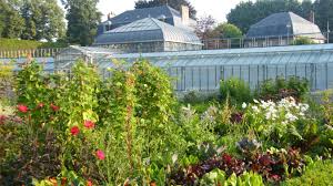 Au xviii ème siècle, il était le site des cours de botanique et riche de nombreuses collections. A La Decouverte Du Jardin Des Plantes D Amiens