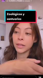 Dashia Weska Descuidos