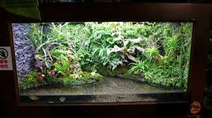 Freshwater Aquaria Considerations For Constructing And Operating The Paludarium Part 1 Aquarium Freshwater Aquarium Aquarium Fish