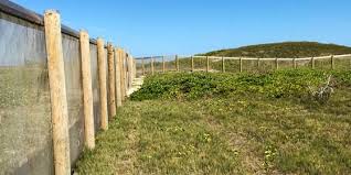 Jump to navigation jump to search. Predator Proof Fencing Pacific Rim Conservation