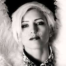 Albert Bitton's Profile