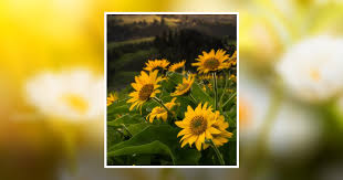 Nancy Galligan Obituary January 8, 2023