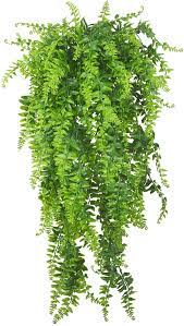 Visit the nearly natural store. Artificial Plants Vine Fern Persian Rattan Fake Hanging Plant Faux Hanging Boston Fern Flowers Vine Outdoor Uv Resistant Plastic Plants Wall Hanging Baskets Decor 2 Pieces Amazon De Kuche Haushalt