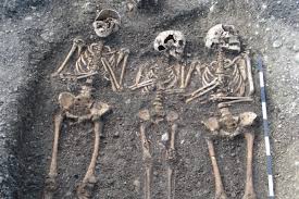 We did not find results for: Researchers Find Just Two Plague Strains Wiped Out 30 60 Of Europe Ars Technica