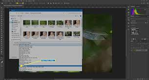 How To Convert Jpg To Png