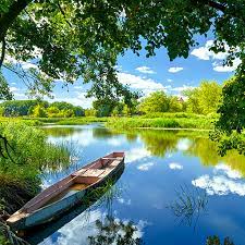 Live wallpapers pc hd group (79+) src. Nature Live Wallpapers Amazon De Apps Spiele