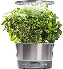 The aerogarden harvest elite is a simple, beautifully designed garden, versatile enough to fit almost anywhere, but perfect for the best room in the house… your kitchen. Amazon Com Aerogarden 100693 Bss Harvest 360 Elite Indoor Hydroponic Garden Stainless Steel Garden Outdoor
