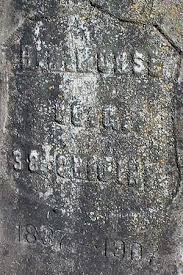 Horace Monroe Morse (1837-1907)