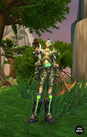 Transmog Worldofwarcraft Hunter Transmog Armor World Of Warcraft Warcraft Zelda Characters