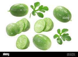Image result for Cucumis anguria