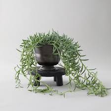 Check spelling or type a new query. String Of Fish Hooks Black Urn Terrain