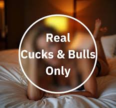 Cuckold Telegram: 8 Top Gruppen für Cucks, Hotwifes & Bulls