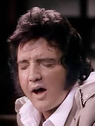 Elvis's private nurse once revealed that in his final years, despite the  wealth, the awards, and the endless admiration, he often felt a deep  emptiness. His health was failing, his body growing