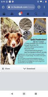 (border collie x australian shepard hybrids) delivering to portland, salem, columbia gorge, bend border collie puppies for in oregon or purebred collies puppy joy e ranch enterprises eugene meet mira a pet adoption puppyfinder com usa page 1 displays 10 portland uptown bordoodles 2j 2k male and female los angeles antelope valley pets dogs border collie puppies for in oregon or purebred collies. Oregon Border Collie Home Facebook