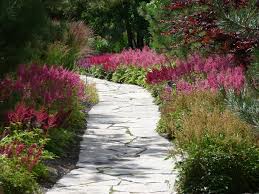 Check spelling or type a new query. Top 10 Flowers That Bloom All Year Pouted Com