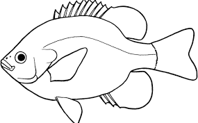 Black And White Cute Black And White Shark Clipart Fish Clipart Black And White Cute Borders Vectors Animated Black For Fish Clipart Black And White Fish Drawing Outline Fish Drawings Cartoon Fish