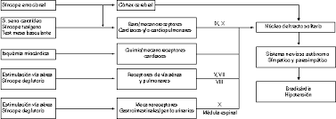 Para ilustrar las formas de presentarse, veremos algunos casos con síncope neurocardiogénico maligno estudiados: Http Secardiologia Es Images Stories Secciones Estimulacion Cuadernos Estimulacion 0500 Sincope Neuro Mediado Pdf