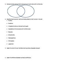 Biology eoc review packet answer biology eoc review review packet iii answers this answer key may not follow your review sheet exactly, but it will help you to check most of the questions. Biology Eoc Review Packet By Kelly Holder Teachers Pay Teachers