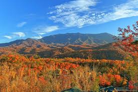 Image result for smoky mountains