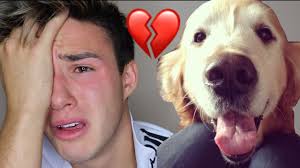 If you're tasked with deciding when to put down a dog or cat, know that it won't be easy. We Had To Put My Dog Down Youtube