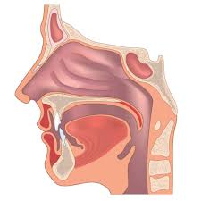 Consistently ranked among the nation's top hospitals for otolaryngology by u.s. Ent Ear Nose Throat Specialist Ipoh Perak Kinta Medical Centre Kmc Medical Centre