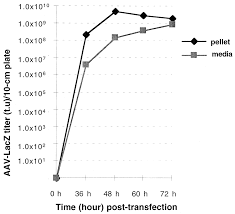 Image result for Poppy Red 1998 AAV