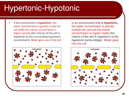 Check spelling or type a new query. The Building Blocks Of Life Ppt Download