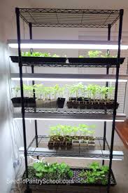 This diy indoor grow light system is a simple and affordable setup that is perfect for starting seeds for your vegetable garden, growing vegetables indoors, and providing light for your indoor herb garden. Building A Seed Growing Rack On The Cheap Seed To Pantry School