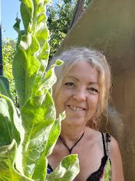 Organic WILDCRAFTED Mullein Leaf Dried