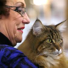 Mid-Ohio Cat Show draws strong field