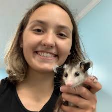 University of Nebraska-Lincoln (@nebraskaprevet) • Instagram photos and  videos