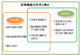 「食物繊維」の画像検索結果