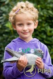 Combination van Panhuis