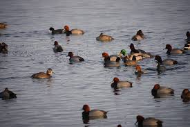 Mathias Cheney (@mathias_cheney) · Instagram 照片和视频