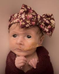 Ohio September 2023 nature photography