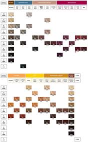 Shade Chart Redken Hair Color Redken Chromatics Color