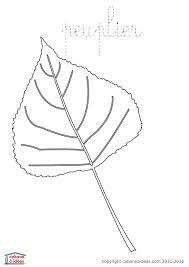 Fiches Et Pdf A Telecharger Feuille Arbre Coloriage Feuille