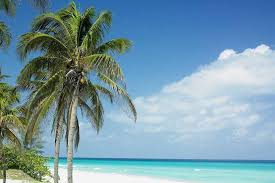 We did not find results for: Der Strand Von Varadero Kuba