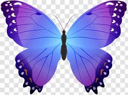 Black pictures of funny butterflies. Butterfly Clip Art Blue Purple Transparent Transparent Png