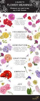 Flower Meanings Infographic Interflora Flower Meanings Flower Quotes Lavender Meaning